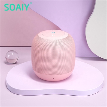 Loa Soaiy S55